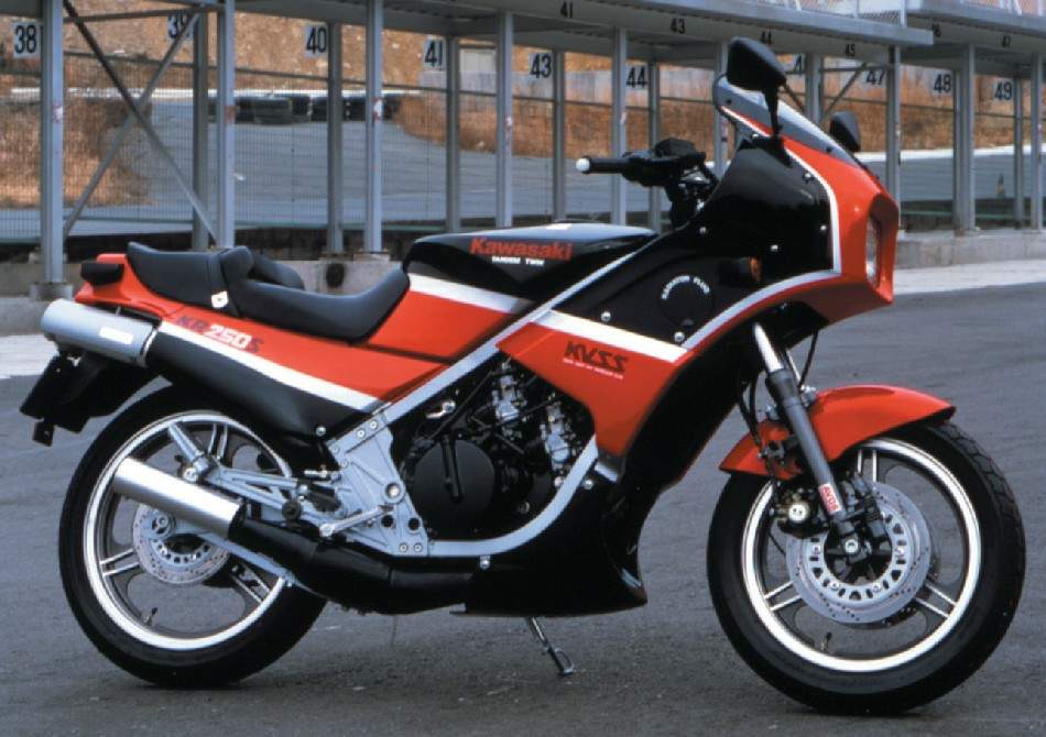 Kawasaki KR 250